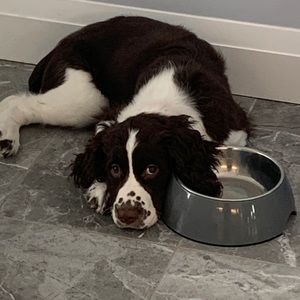 Meet your Posher, Heidi